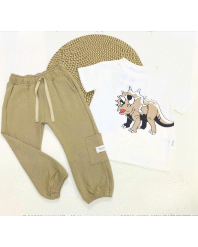 Conjunto deportivo niño bebe 40438 DD