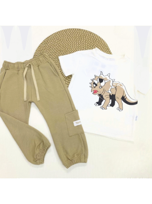 Conjunto deportivo niño bebe 40438 DD